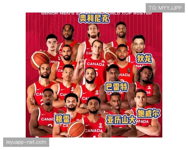 加拿大队世界杯主力阵容预测